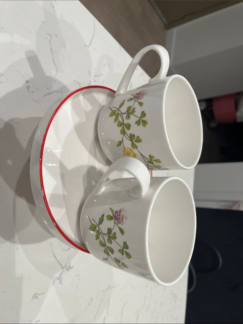 Martha Stewart White Porcelain Tea Cups with Red Rim and Green Floral Accent